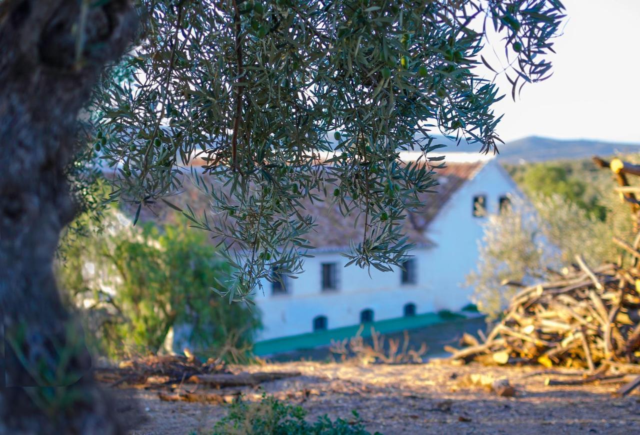 Cortijo Alzamigaja Villa Archidona Buitenkant foto