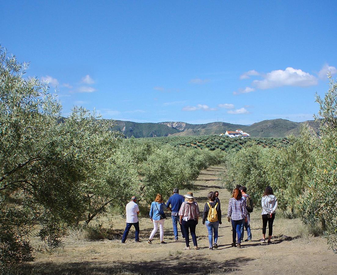 Cortijo Alzamigaja Villa Archidona Buitenkant foto