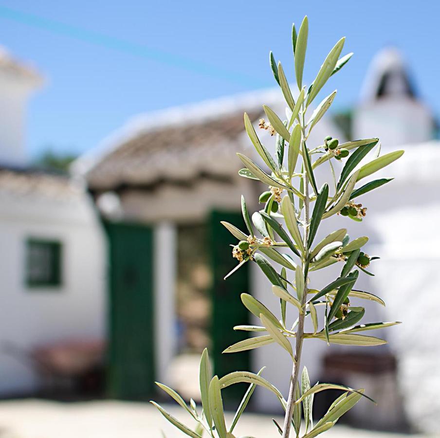 Cortijo Alzamigaja Villa Archidona Buitenkant foto