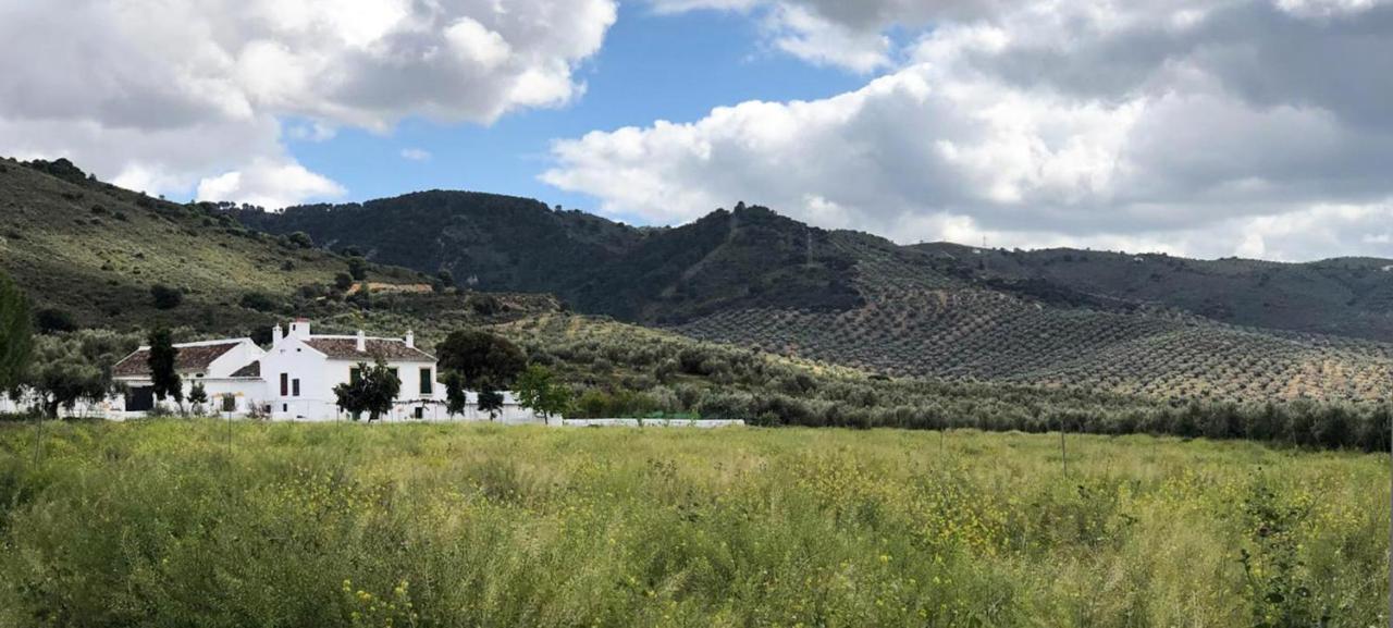 Cortijo Alzamigaja Villa Archidona Buitenkant foto